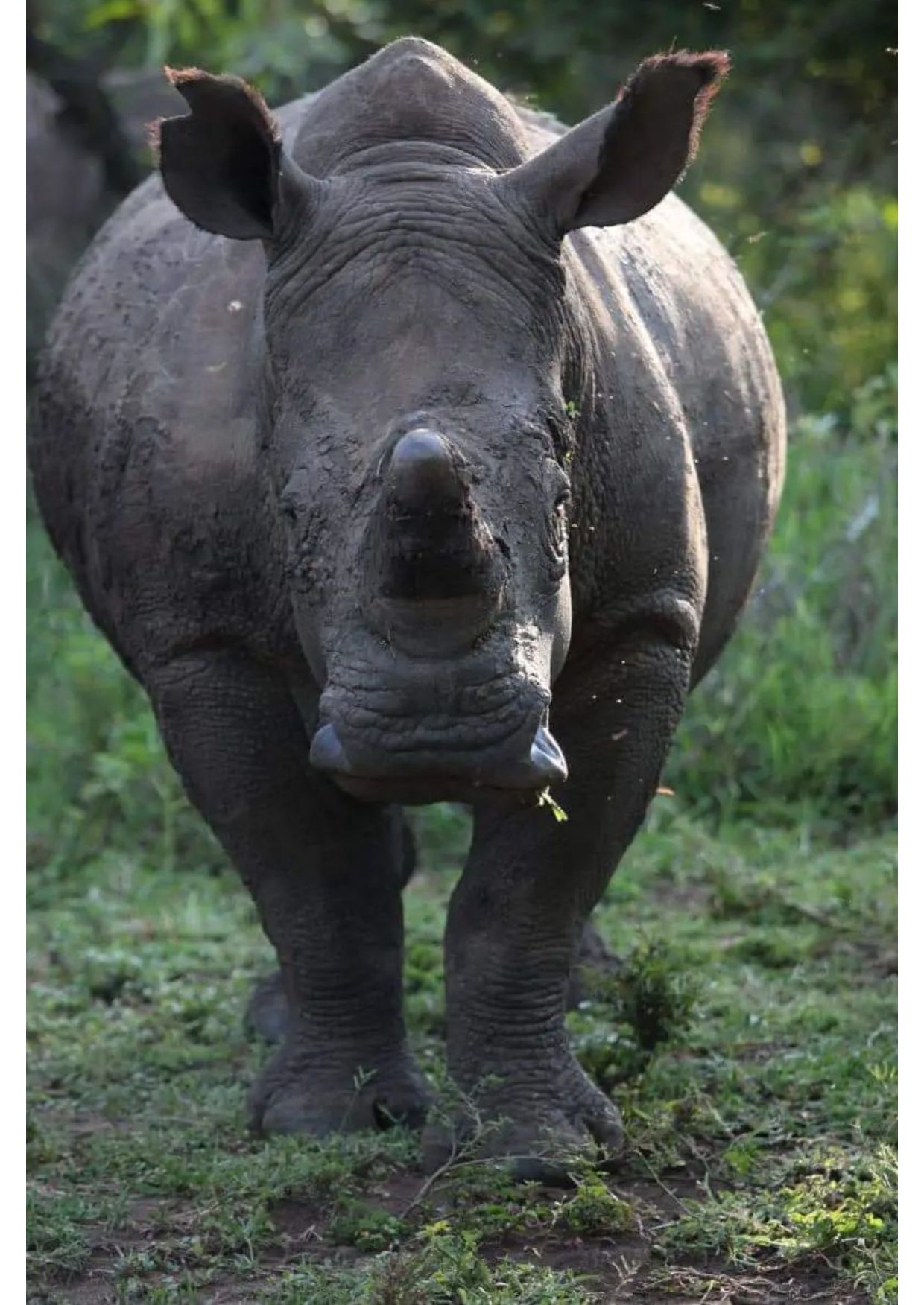 4-Day Tanzania Best Unique Safari